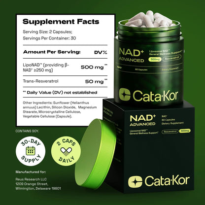 Liposomal NAD Resveratrol Supplement – NMN Supplement Alternative
